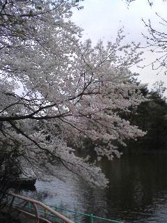 080330_1437~01.jpg