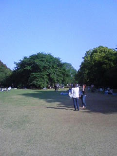 080506_1541~01.jpg