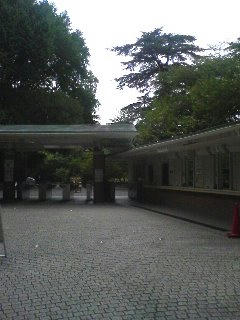 080812_1036~01.jpg