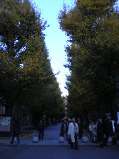 081122_1607~01.jpg
