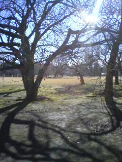 081227_1046~01.jpg