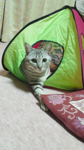 2011060323340000.jpg