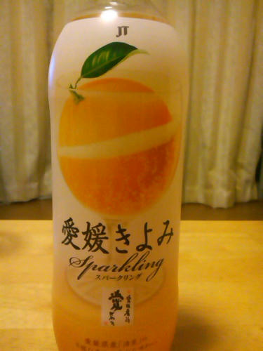 SN3N06020001.jpg