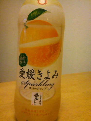 SN3N12210001.jpg