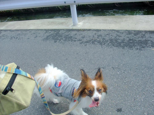 10_06_06_27_003.JPG