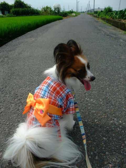 10_08_08_005_s.JPG
