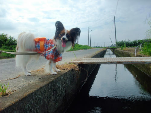 10_08_08_007_s.JPG