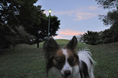 10_09_18_011.JPG