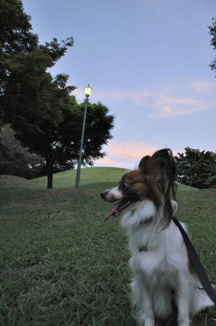 10_09_18_012.JPG