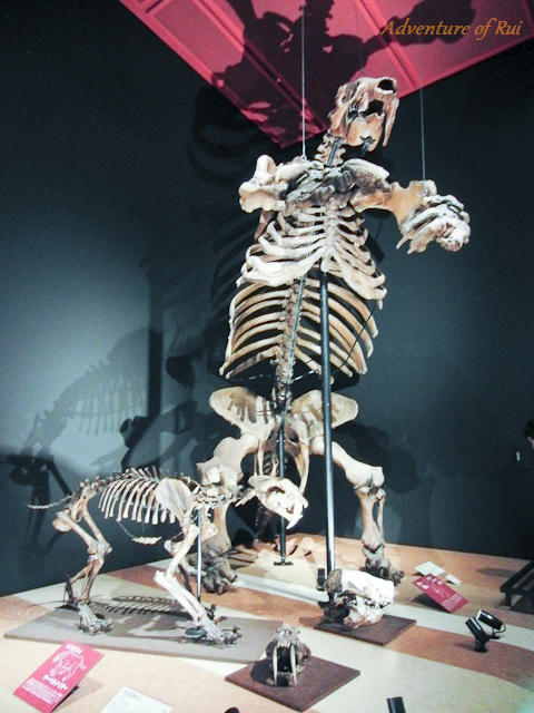 10_11_14-2.jpg