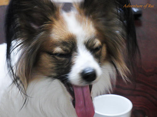 11_01_20-0305.jpg