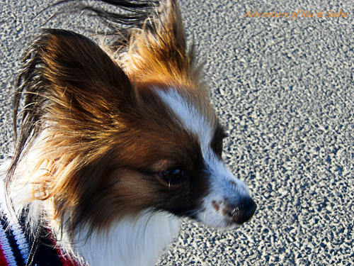 11_01_30-5.jpg