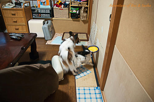 11_02_13d-8.jpg