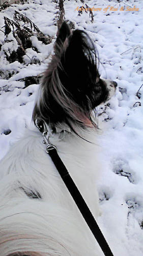 11_02_15-4.jpg