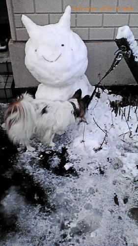 11_02_15-2.jpg