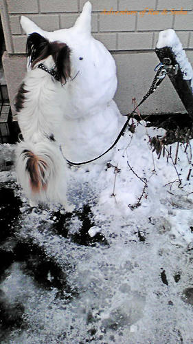 11_02_15-3.jpg