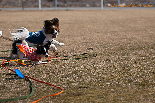 11_02_27-71.jpg