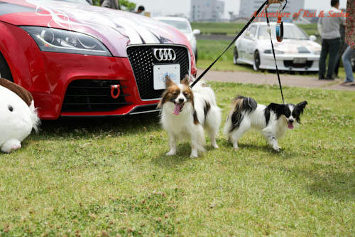 120603-9.jpg