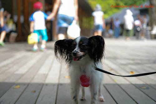 120818-9.jpg