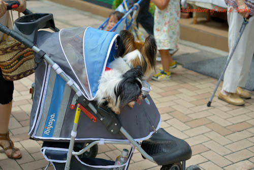 120818-13.jpg