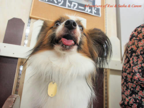 120930-15.jpg