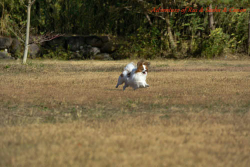 121118B-2.jpg
