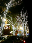 101207_170025.JPG