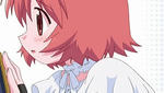 snapshot20081122140239.jpg