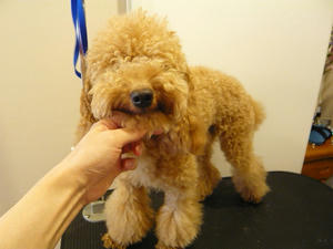 20100918-1.jpg