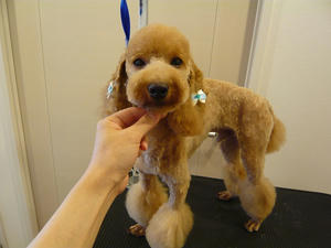 20100918-2.jpg