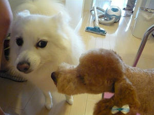 20100918-3.jpg