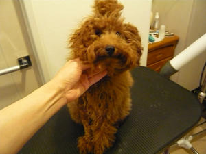 20100925-1.jpg