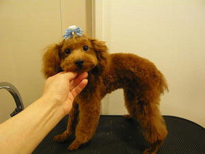 20100925-2.jpg