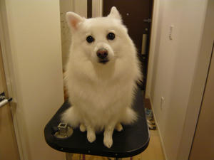 20100925-3.jpg