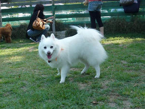 20100926-3.jpg
