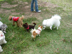 20100926-4.jpg