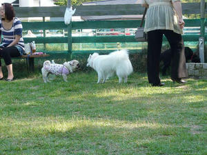 20100926-5.jpg
