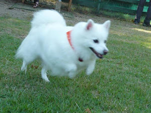 20100926-6.jpg
