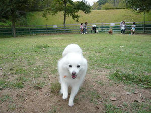 20100926-7.jpg