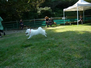 20100926-8.jpg