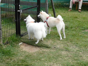 20100926-10.jpg