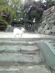 100929_002.jpg