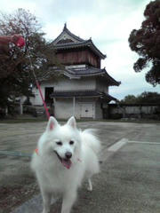 100929_003.jpg