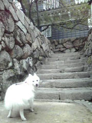 100929_004.jpg