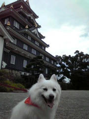 100929_005.jpg