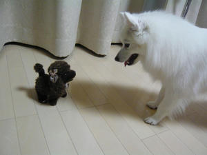 20100716.jpg