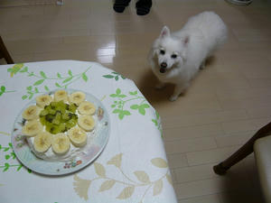 20101009-2.jpg