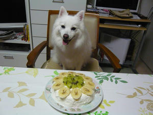 20101009-3.jpg