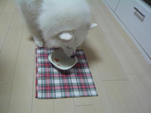 20101009-5.jpg