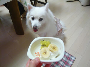 20101009-6.jpg